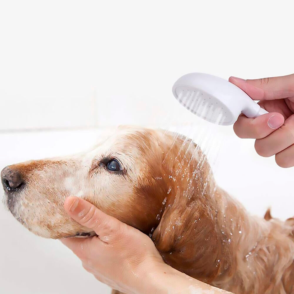 Manguera de Ducha con Alcachofa Extraíble y Flexible de 1,4 m